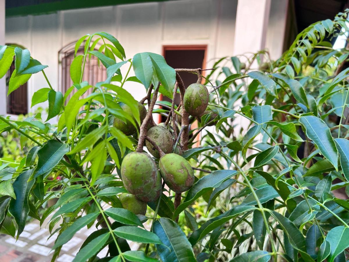 Natural Experience House ตอร์ตูเกโร ภายนอก รูปภาพ